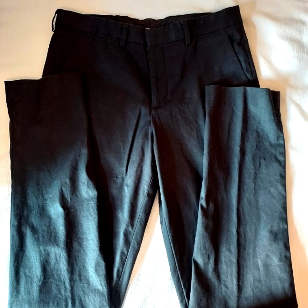Mens Express Dress pants